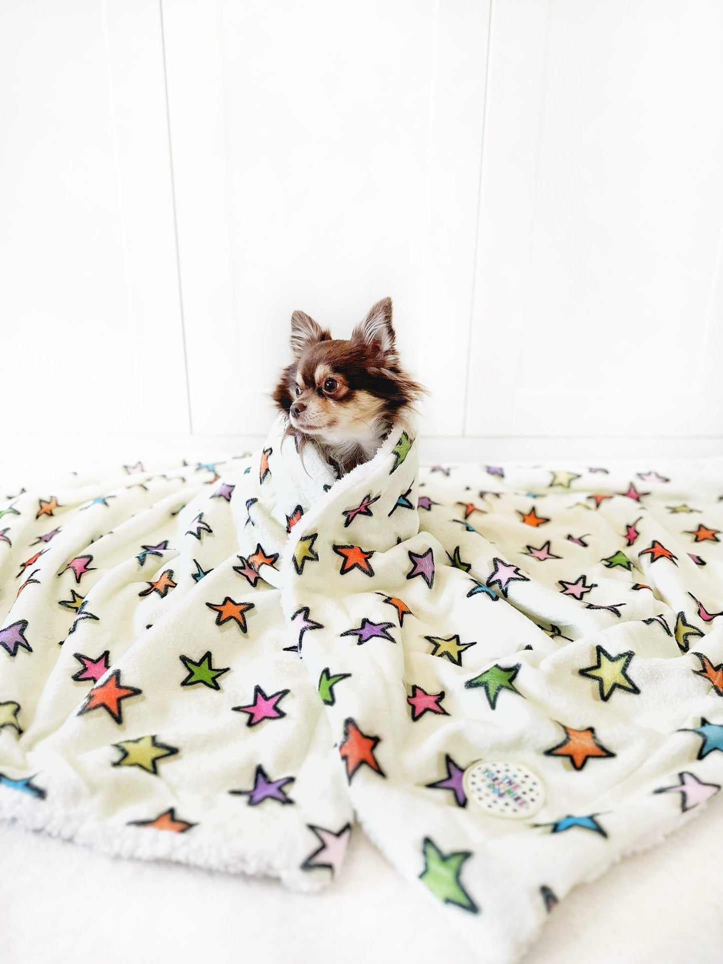 Mabel's Star Massive Blanket