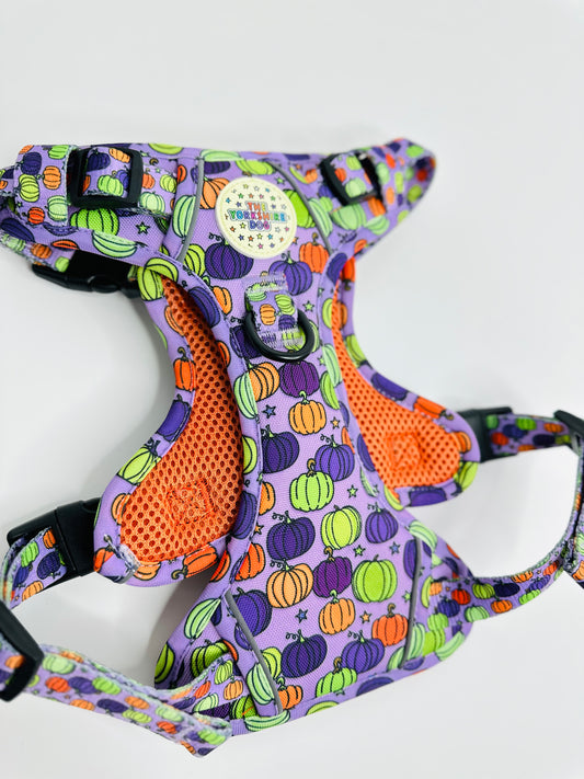 Chewie’s Pumpkin Patch Yorkshire Trails Harness